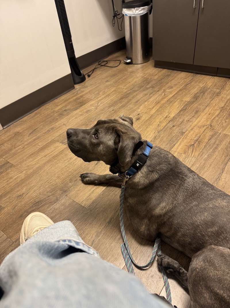 McGehee Clinic For Animals