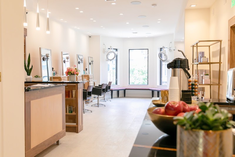 Alexander Safar Salon