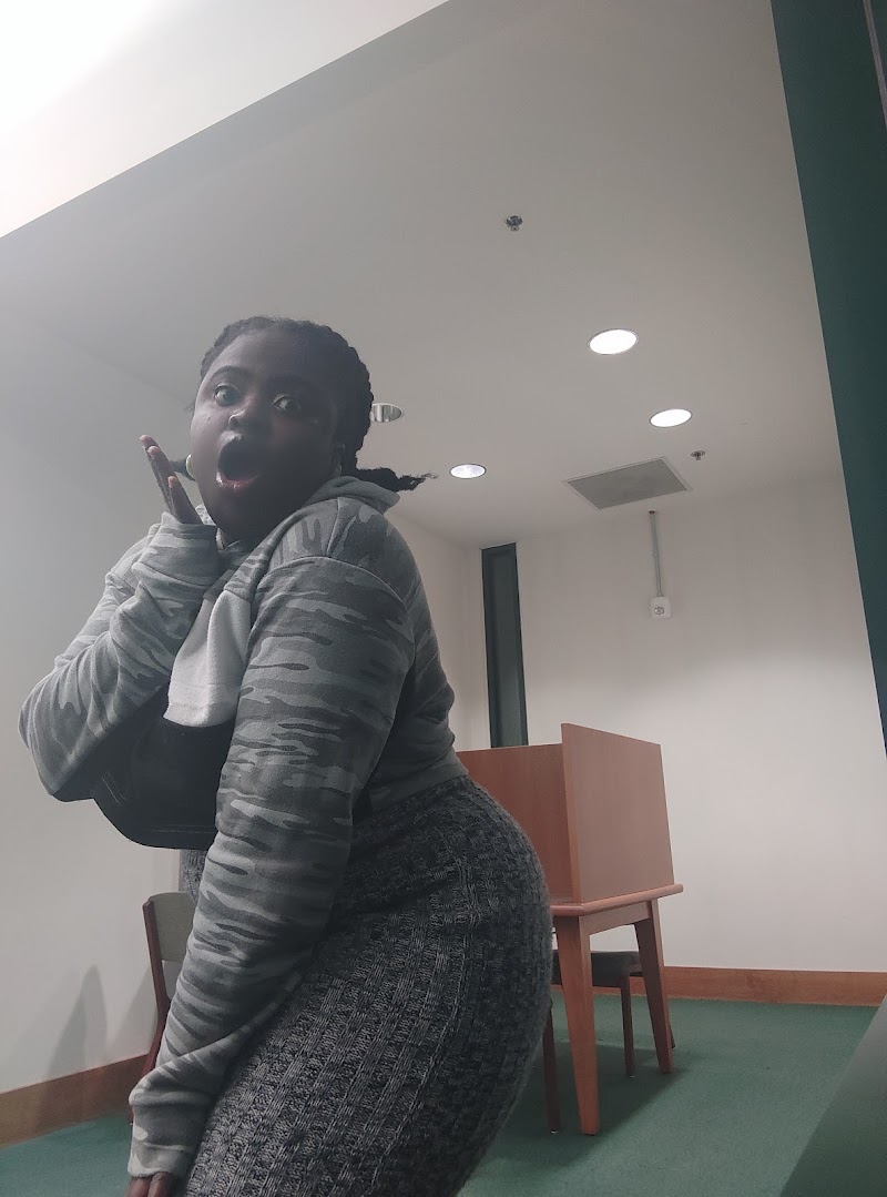 Todd Madigan Art Gallery cover image