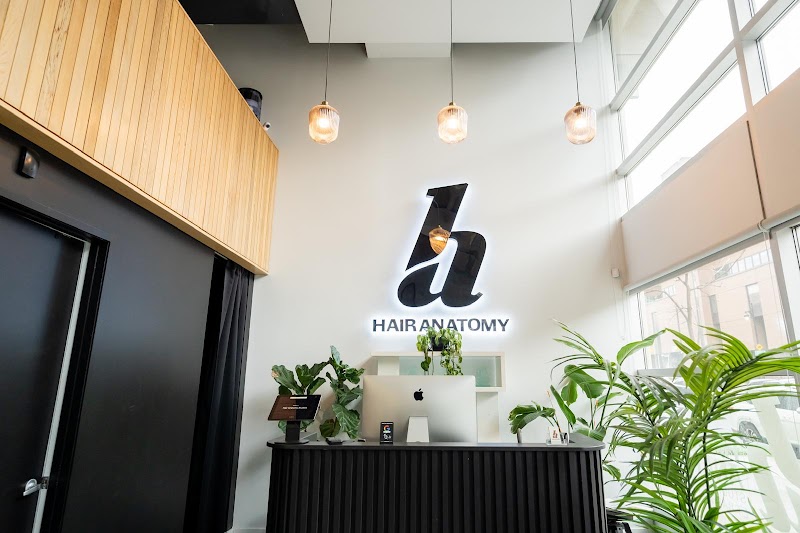 Hair Anatomy Studio des Coiffeurs et Barbiers
