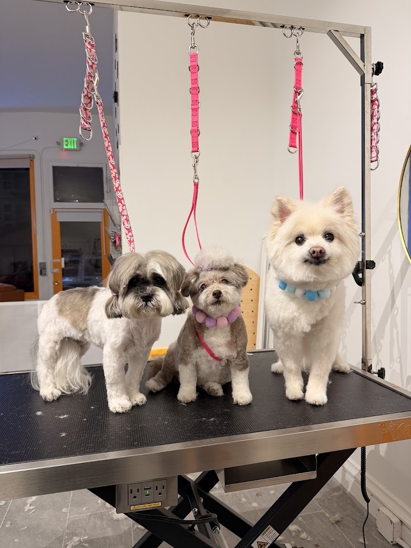 Mr. FUFU Grooming Lounge