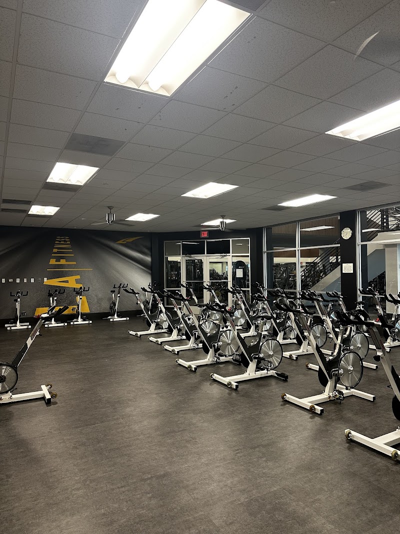 FLX33 "More Than a Gym"