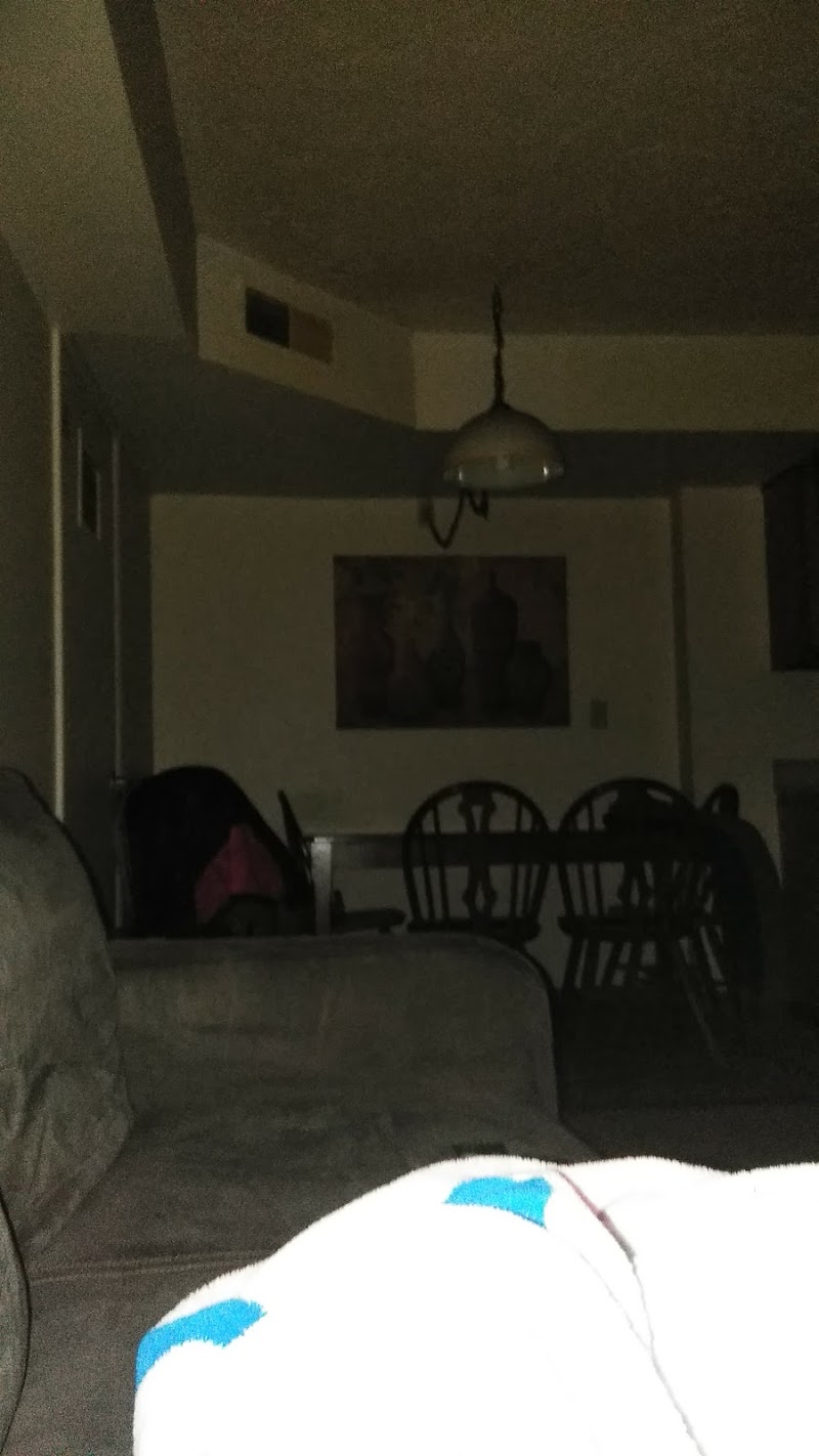 UBS Financial Services Inc. cover image