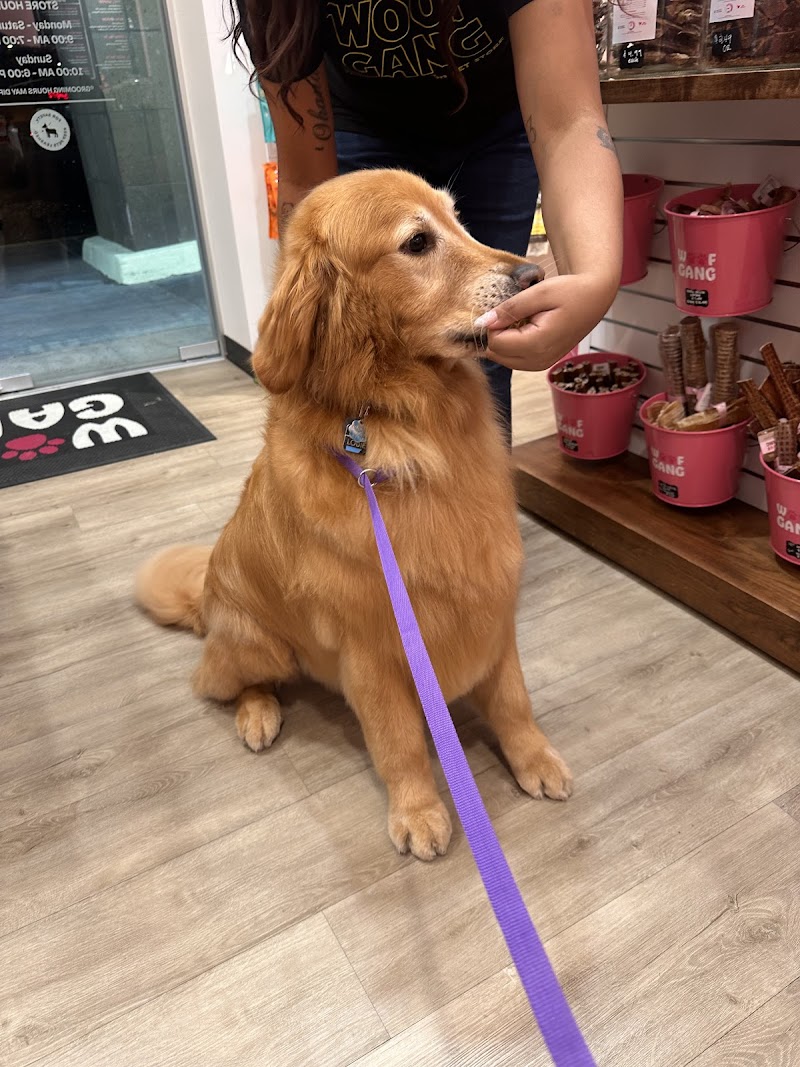 Woof Gang Bakery & Grooming Catalina Foothills