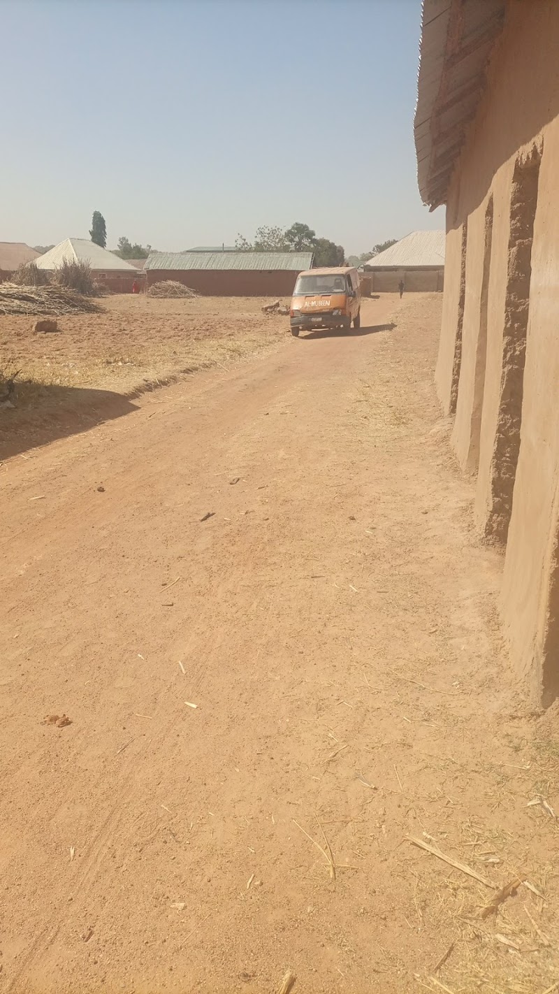 Same Day Service in Houston TX cover image