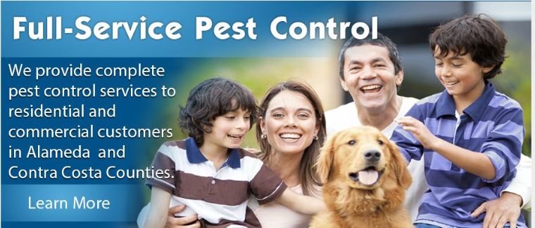 California Exterminating Service cover image