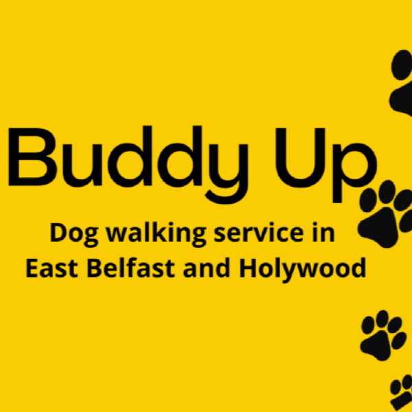 Buddy Up Dog Walking Adventures and Home from Home Boarding cover image