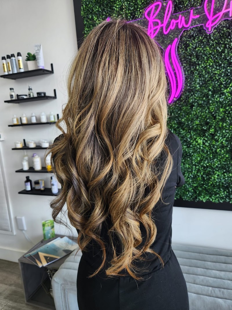 Live Blow Dry Hair Salon