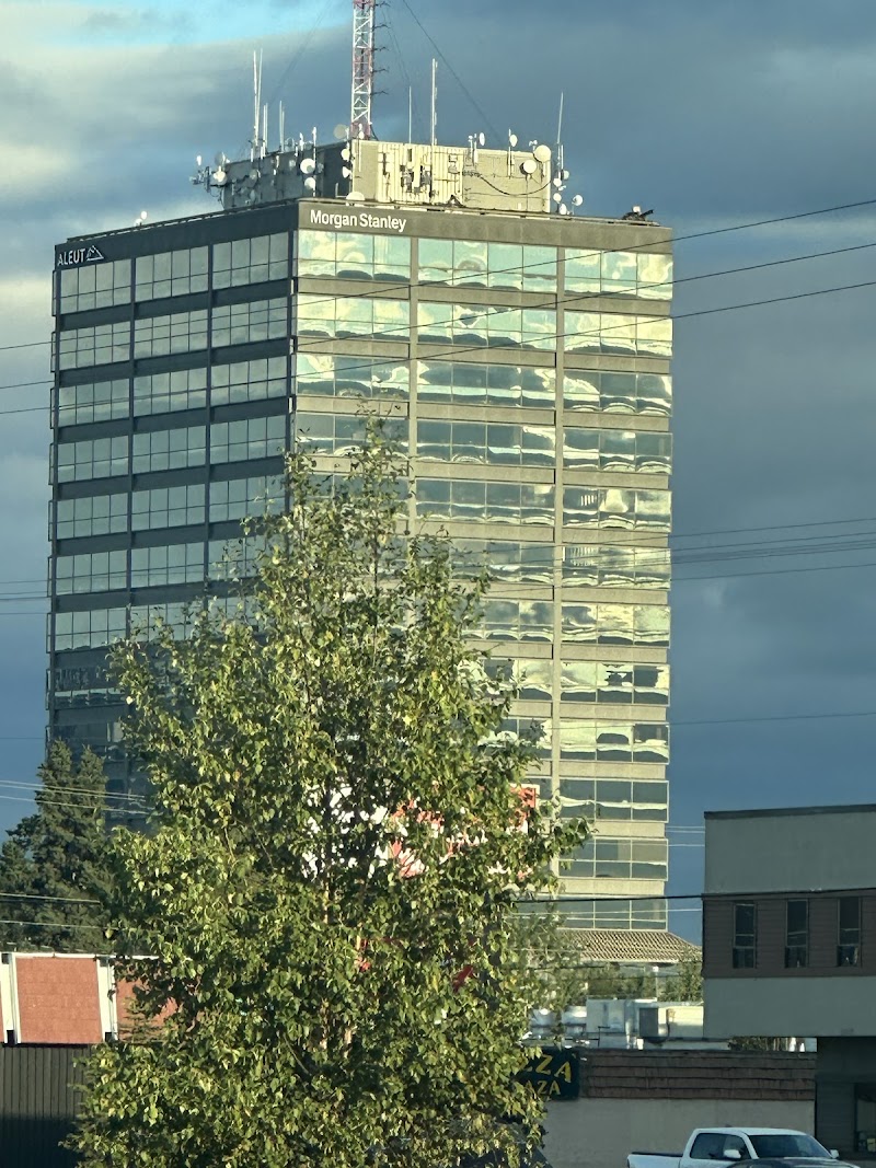 Morgan Stanley Financial Advisors cover image