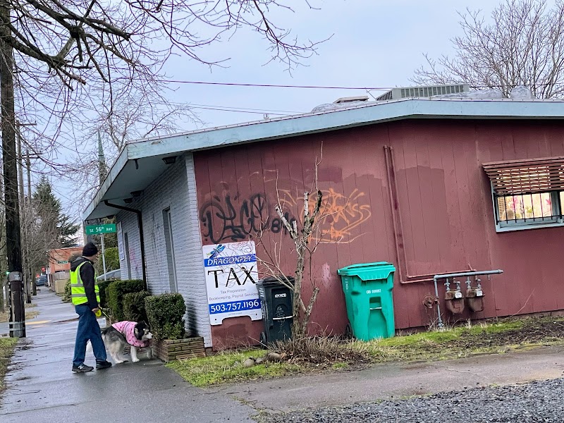 Dragonfly Tax LLC cover image