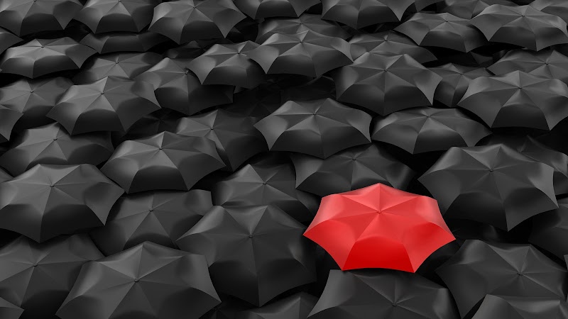 Standout Web Design Company cover image