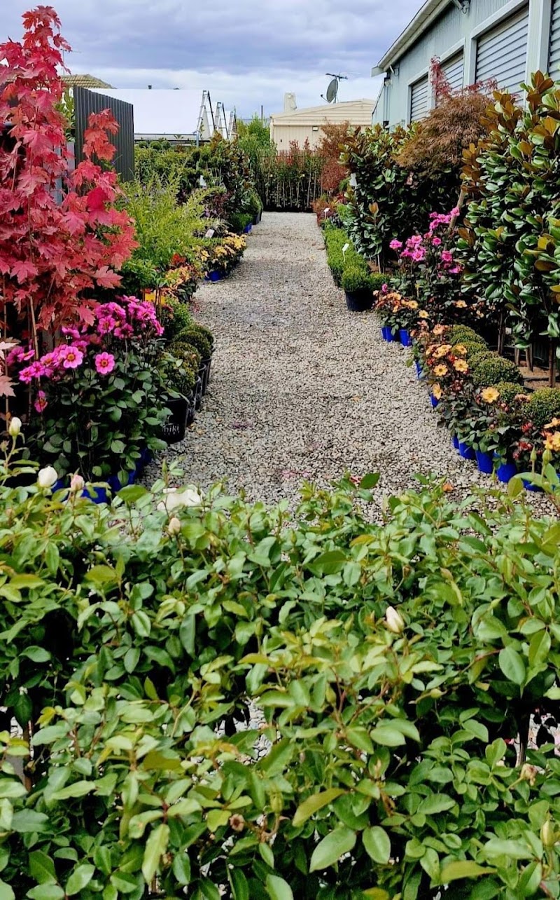 Adelaide Wholesale Plants