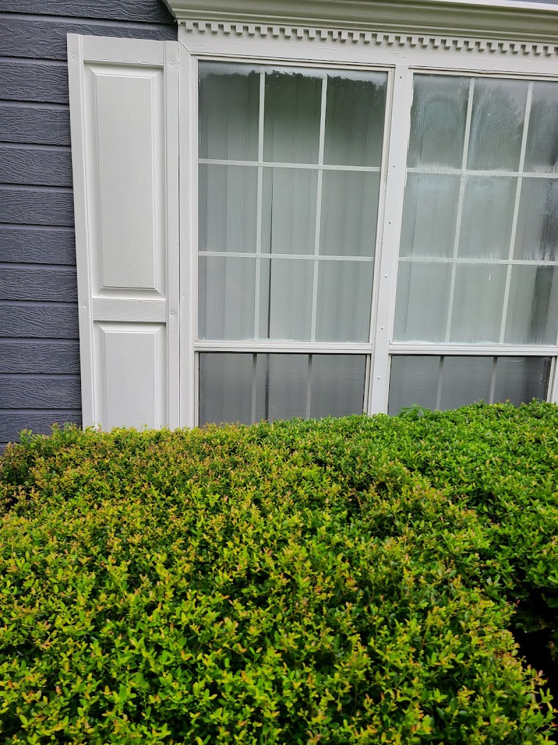 Southern Pro Clean cover image