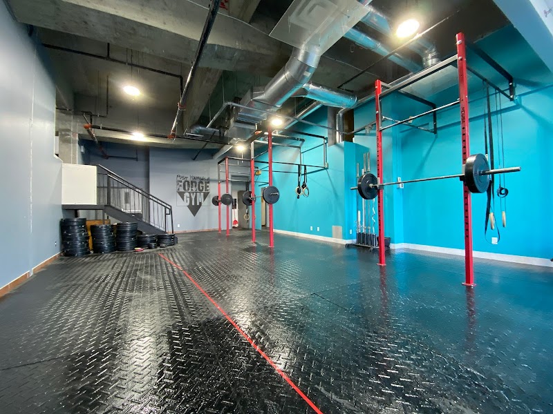 Forge Gym