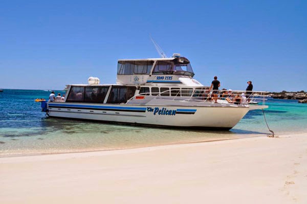 Pelican Charters