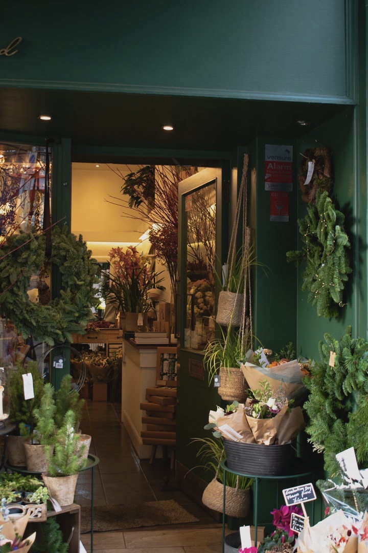 Snapdragon Edinburgh Florist