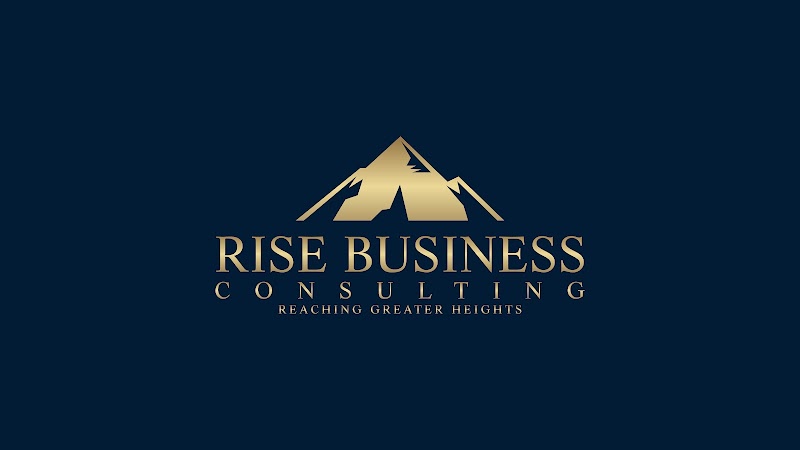 RISE BUSINESS CONSULTING cover image
