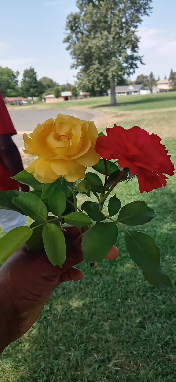 Pacific Staffing cover image