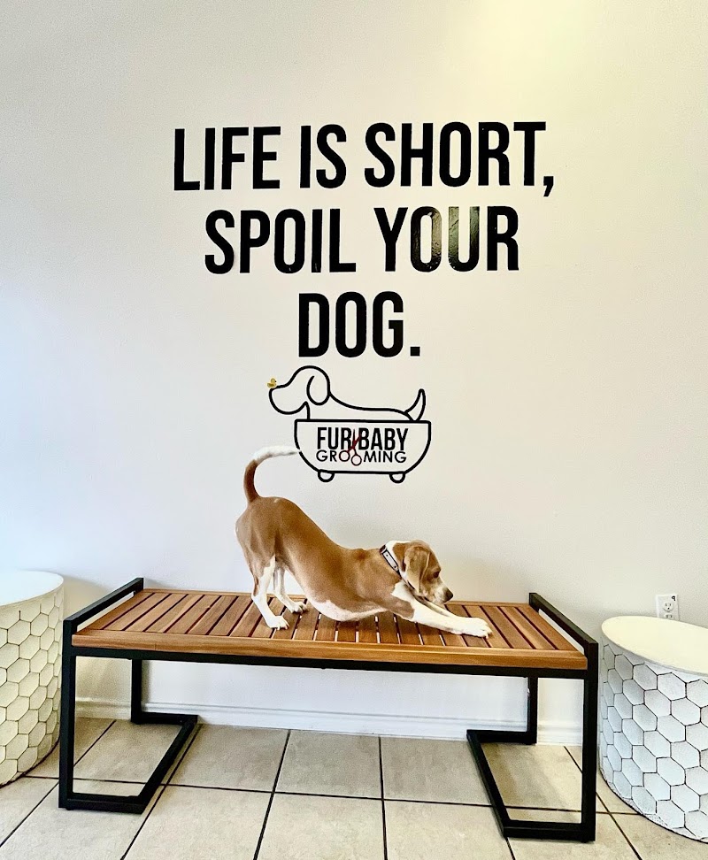 Fur Baby Grooming & Boarding