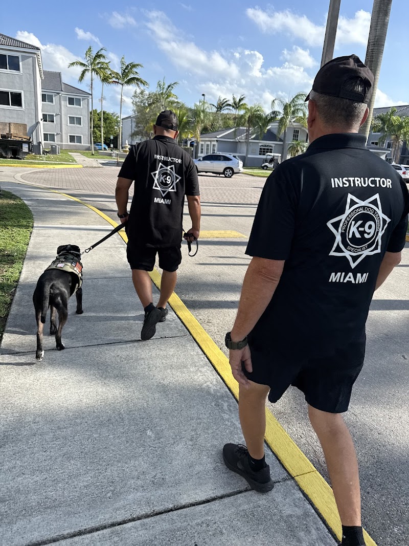 K-9 Specialist | Dog Trainer