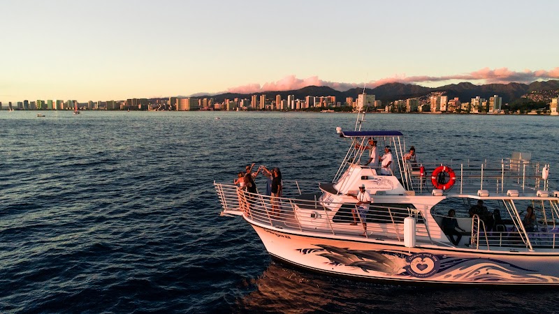 Best Oahu Tours by AYC
