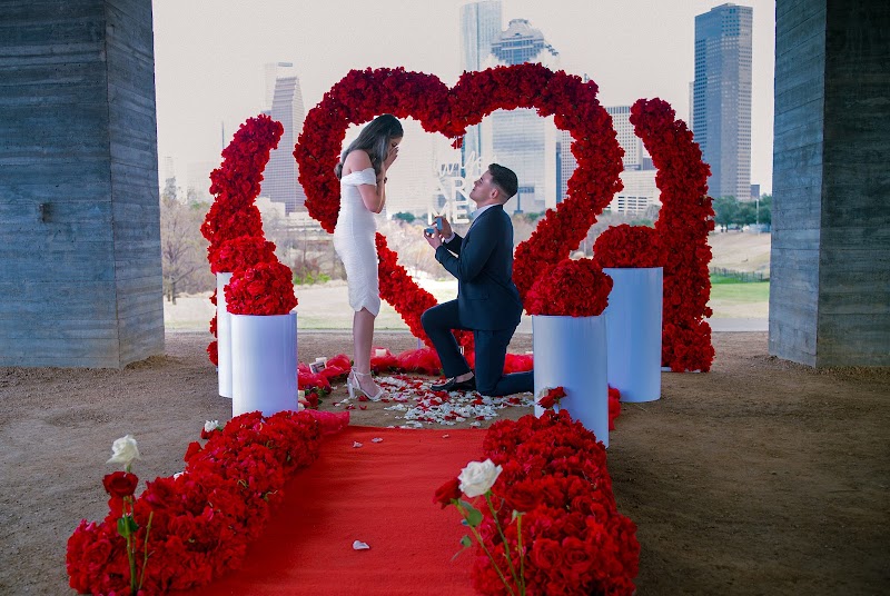 Enchanting Engagements Houston