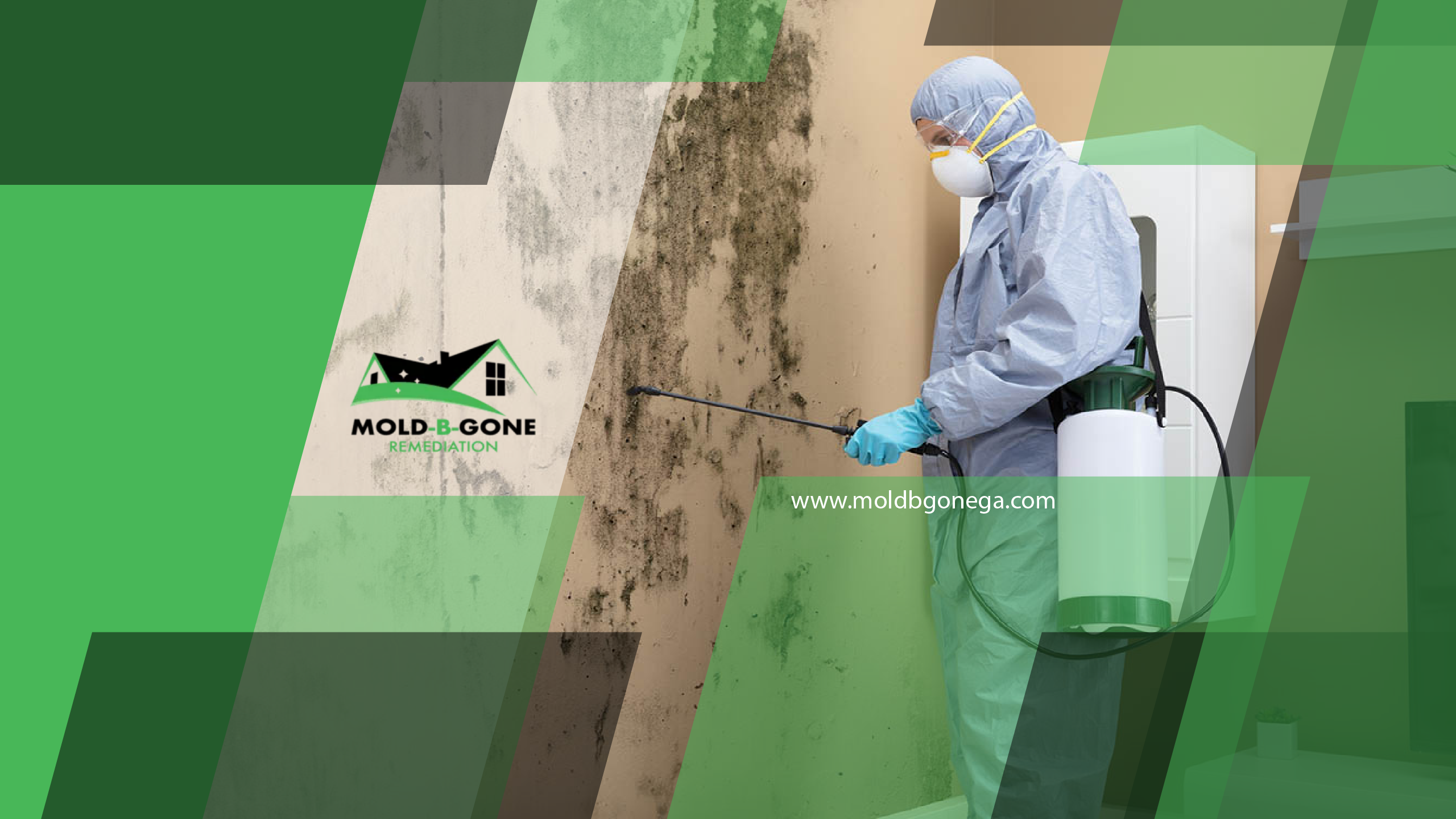 Mold-B-Gone cover