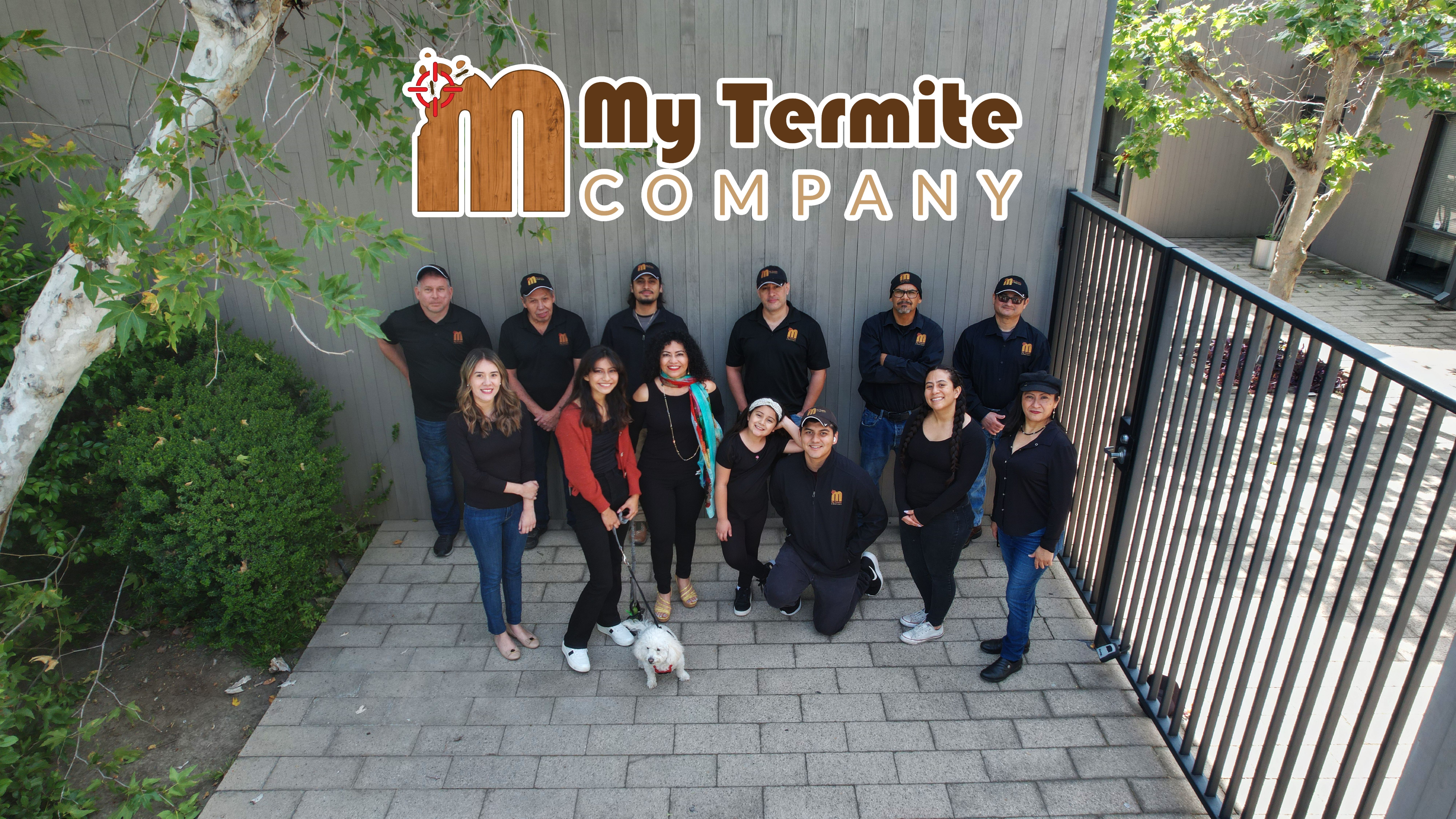My Termite Company cover