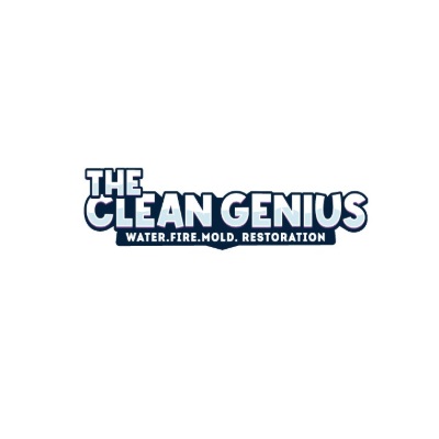The Clean Genius cover