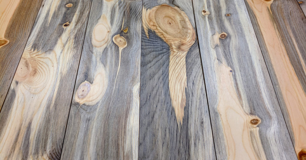 Sustainable Lumber Company cover