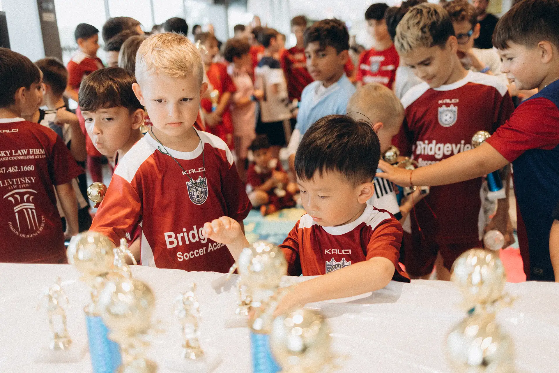 Bridgeview Soccer Academy cover