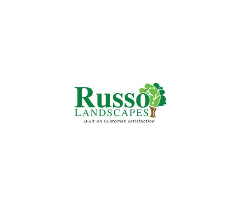Russo Landscapes cover