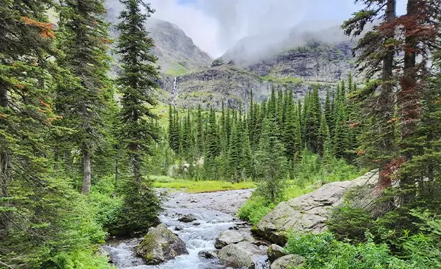 Mountain & Valley Law Firm cover