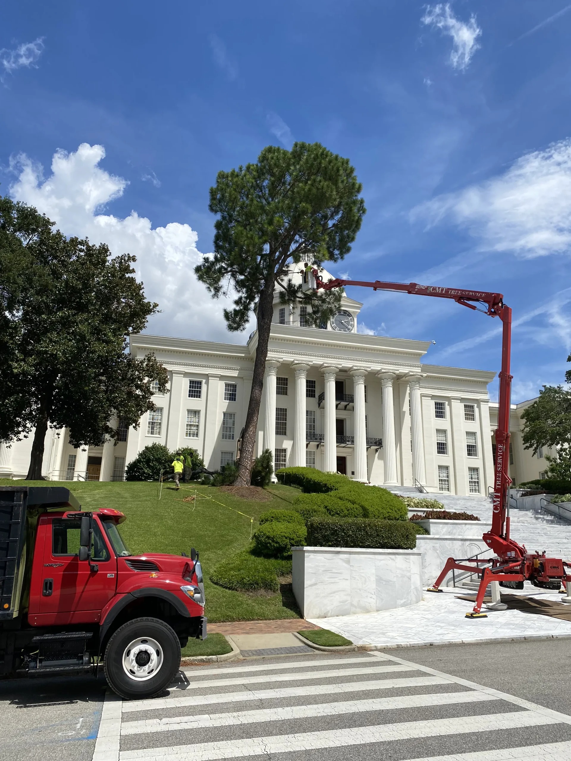 CMT Tree Service cover