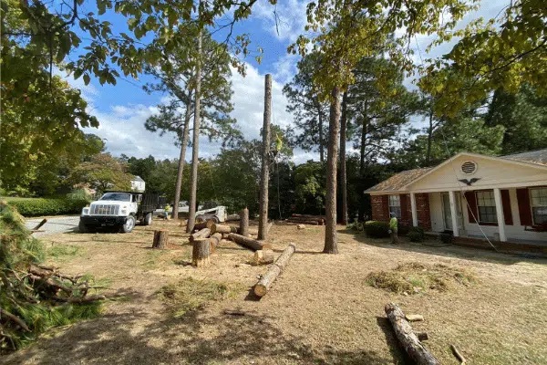 Tarhill Tree Service Fayetteville cover