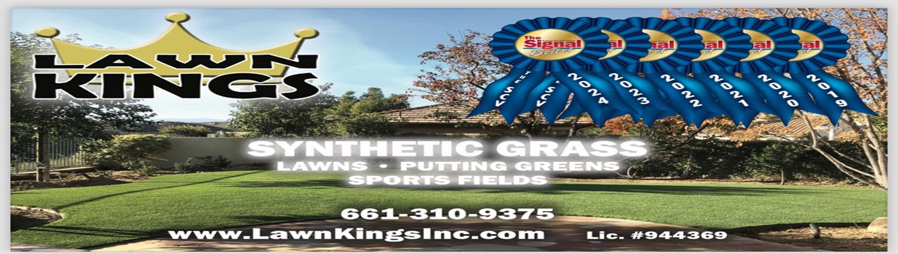 Lawn Kings Inc. cover