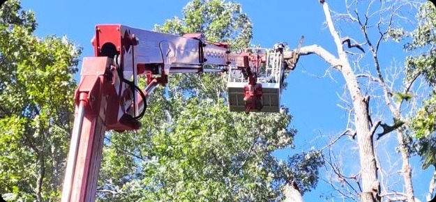 Premier Tree Care LLC cover