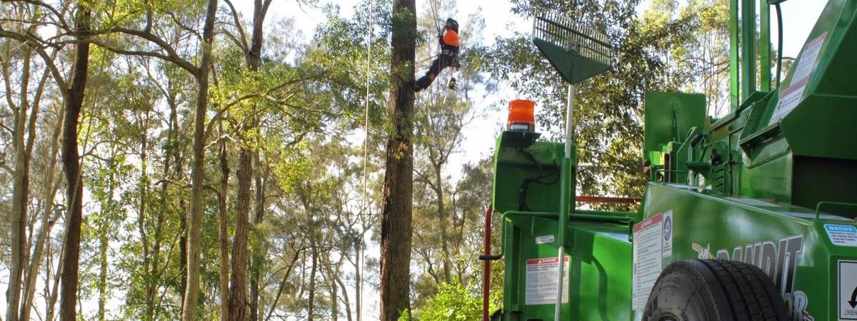 Cutting Edge Tree Maintenance cover