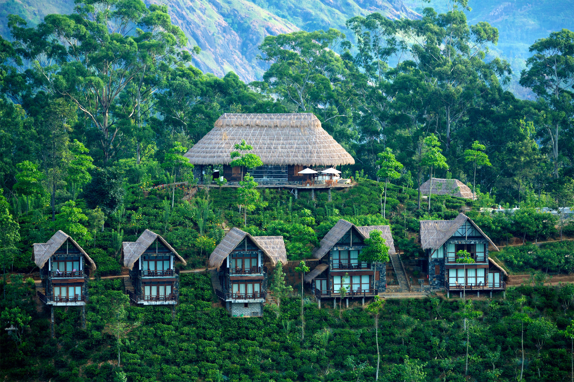 Cloud Nine Lanka cover