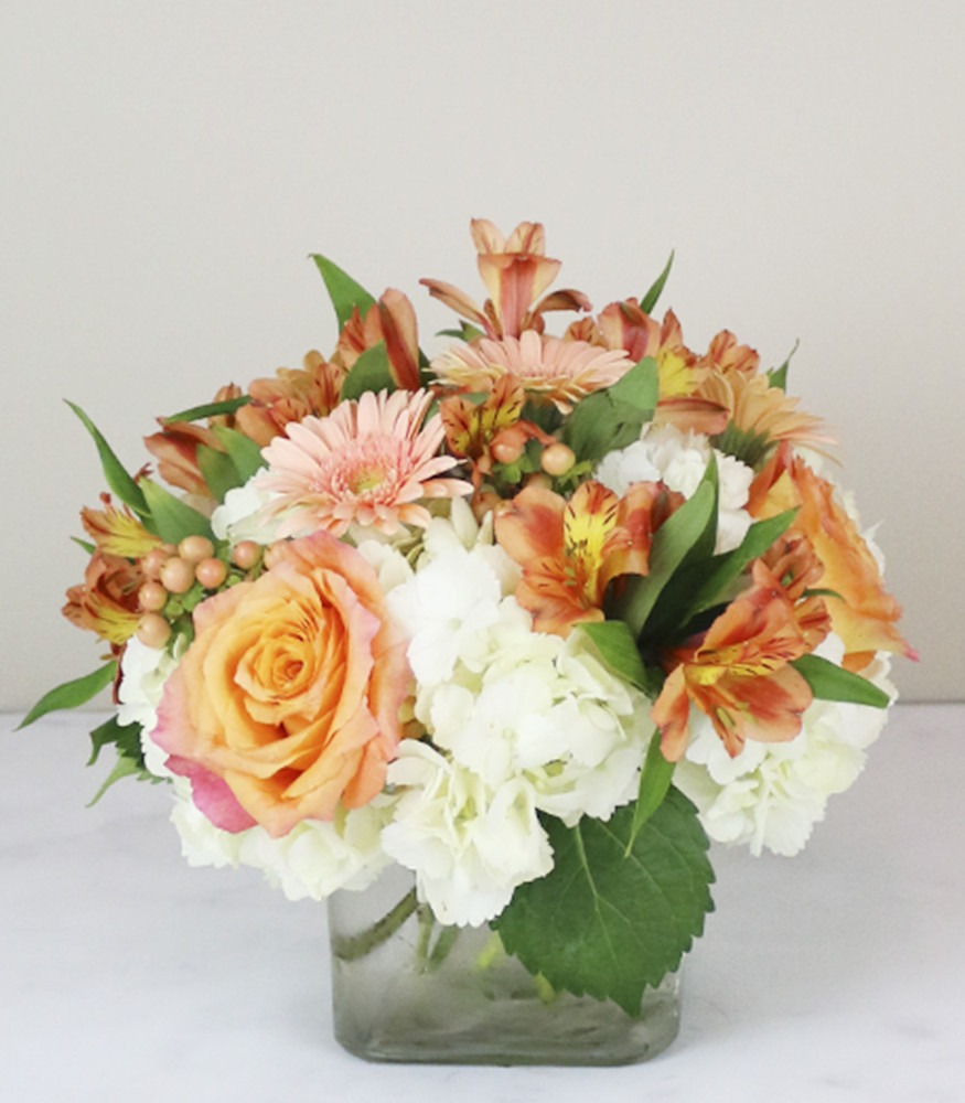 Berlin Blossom Shoppe cover