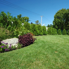 Fred's Landscaping & Irrigation cover
