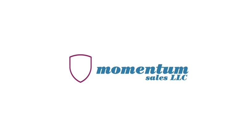 MOMENTUM SALES LLC cover