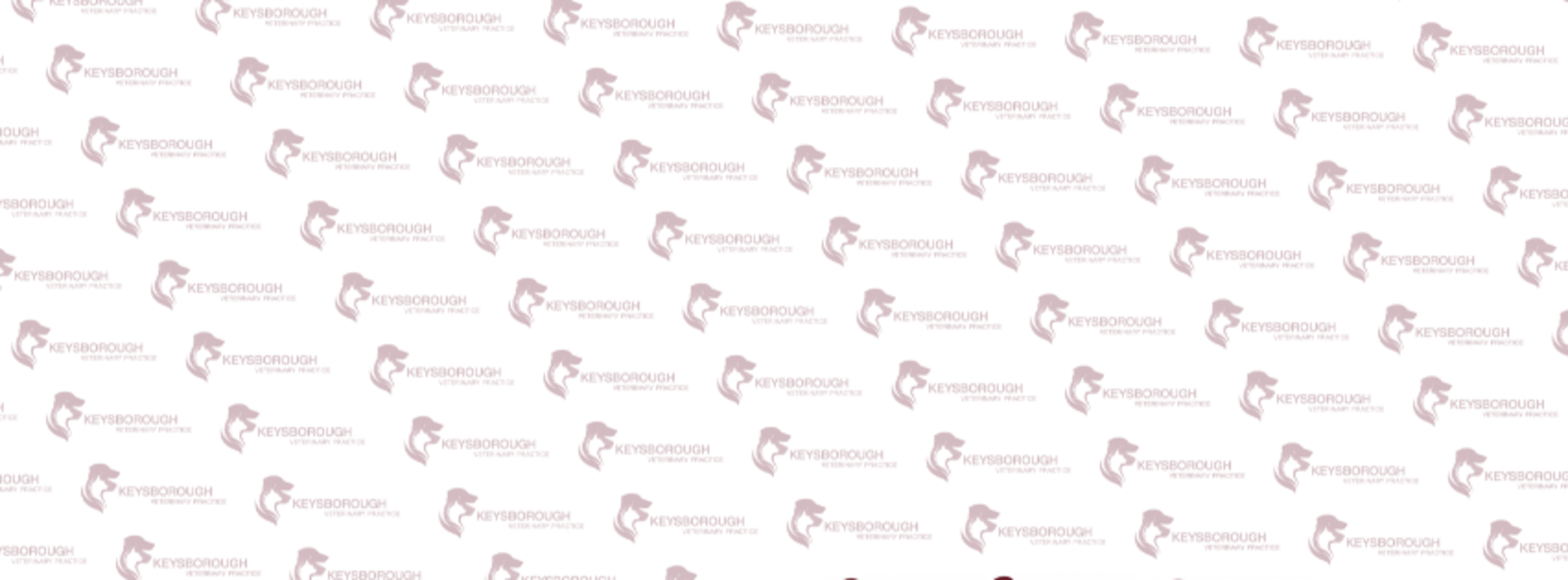 Keysborough Veterinary Practice cover