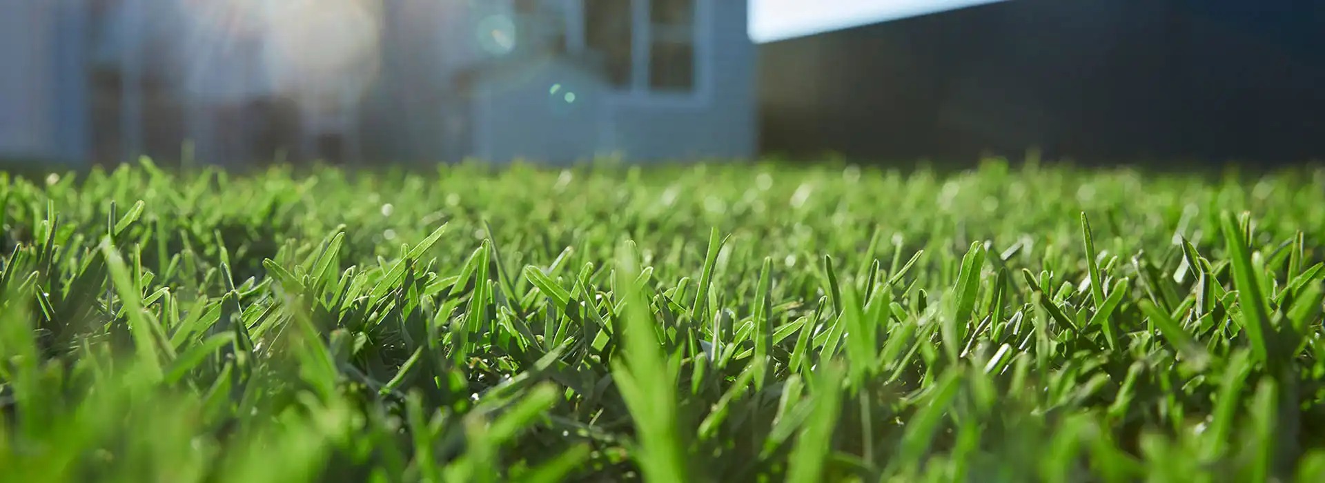 All Seasons Turf Supplies cover