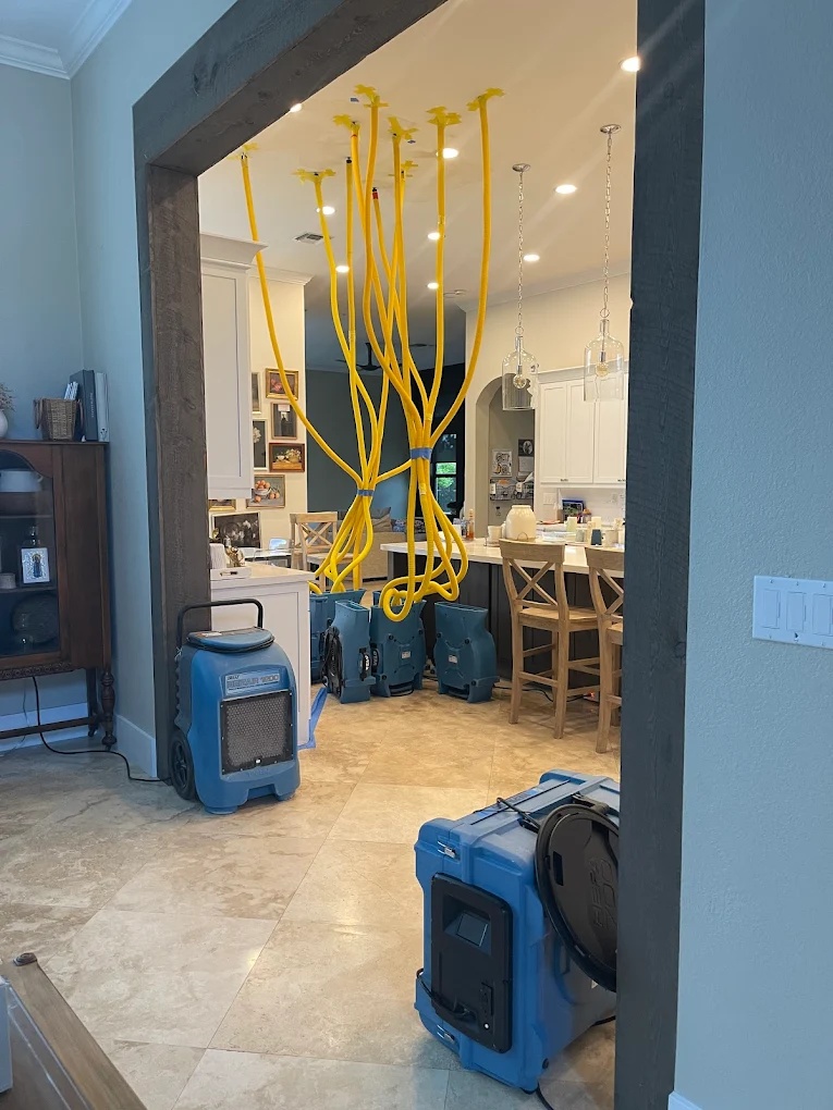BuildEase by Florida Mitigation Group cover