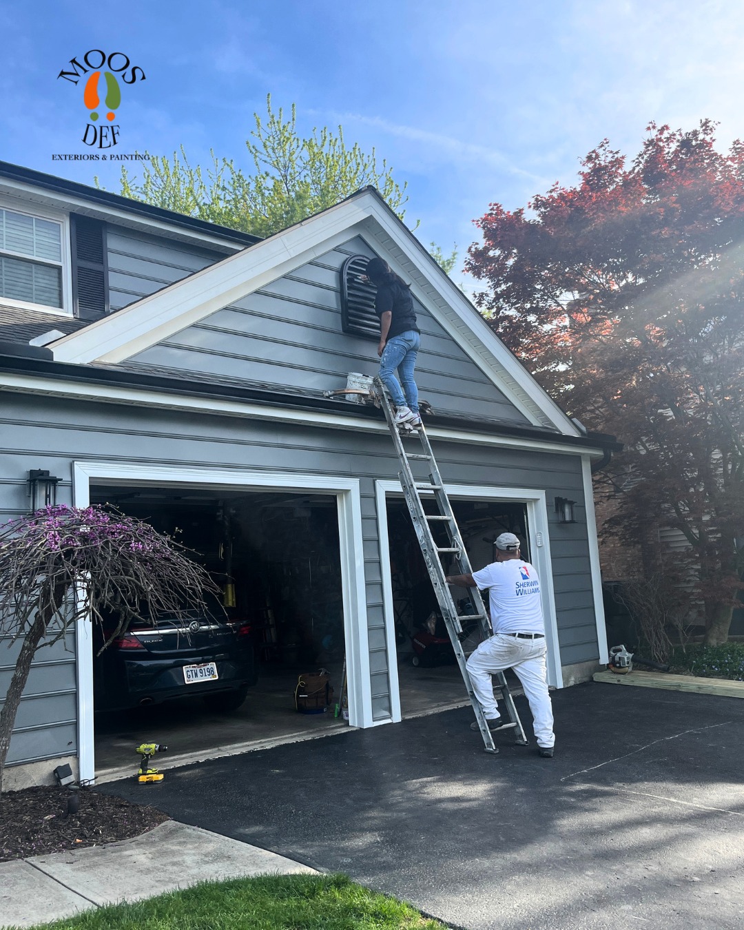 Moos Def Exteriors & Painting cover
