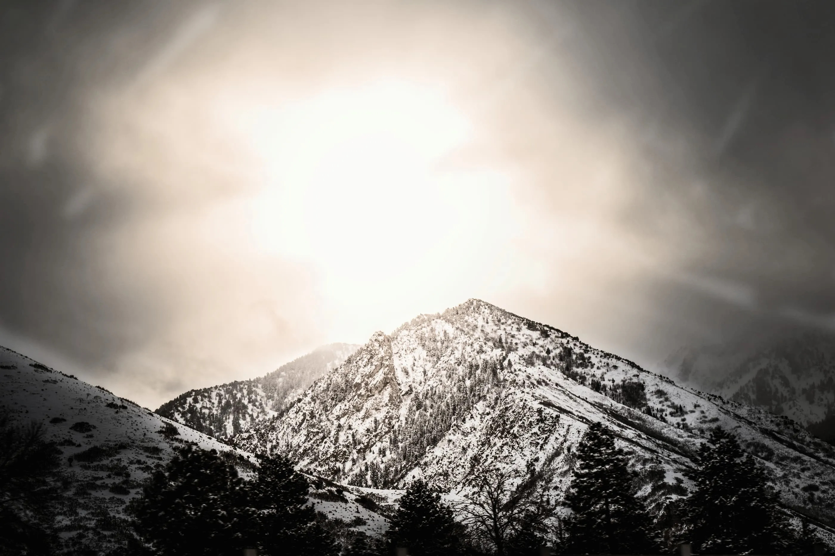 Siegfried & Jensen cover image