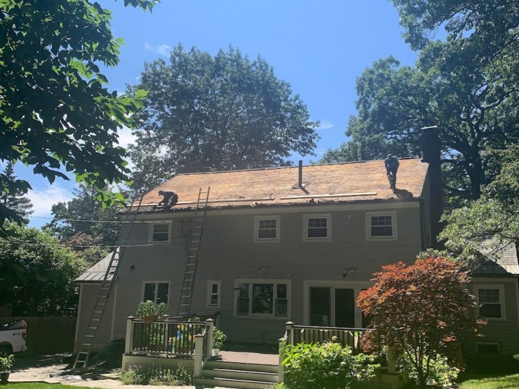 Roof Tops cover