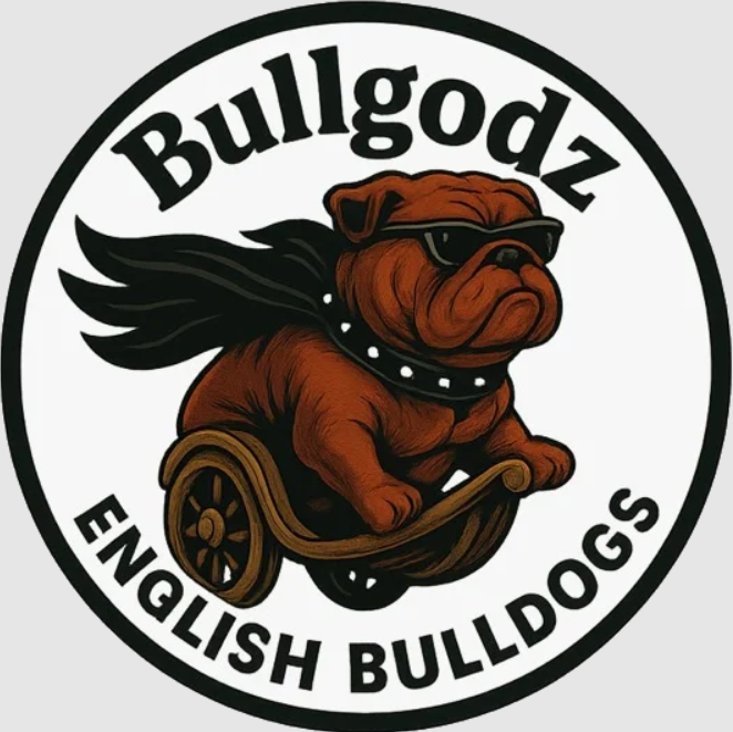 BullGodz HQ cover