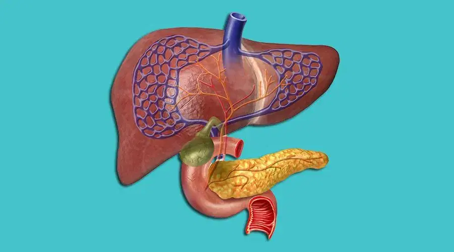 LifeBridge Transplant cover